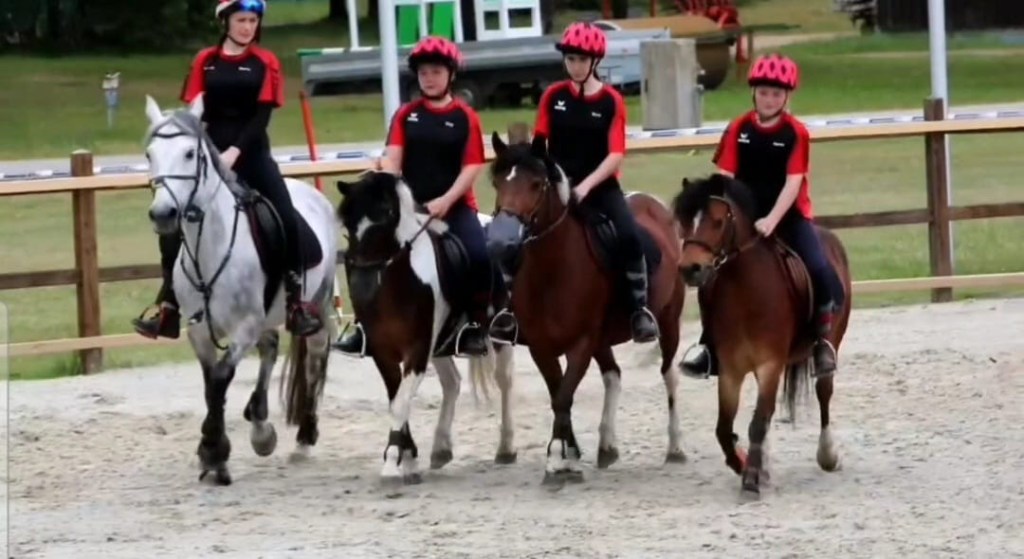 Turnierbericht: Luhmühlen 2024